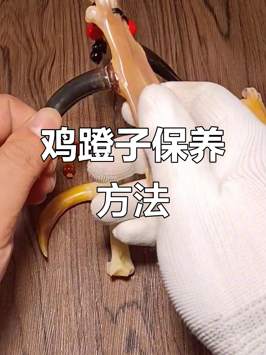 鸡腿骨盘玩技巧:保养关键部位避免开裂