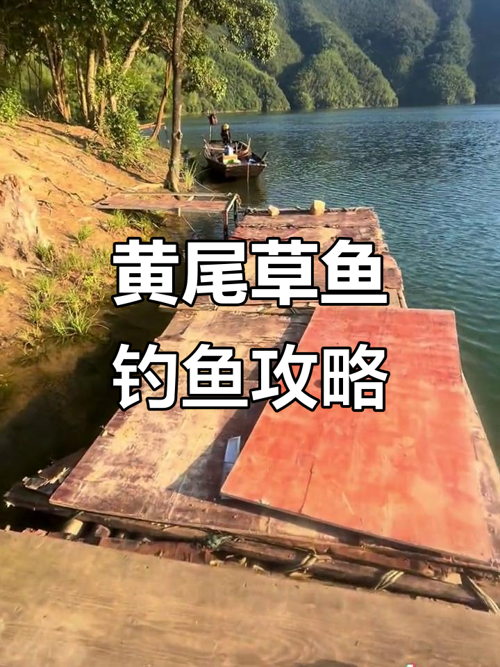 太平湖水位下降，黄尾草鱼和鳊鱼钓点推荐
