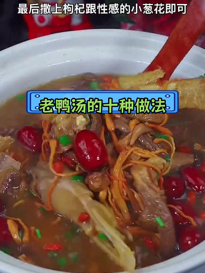 十种美味老鸭汤做法,哪种最合你口味?