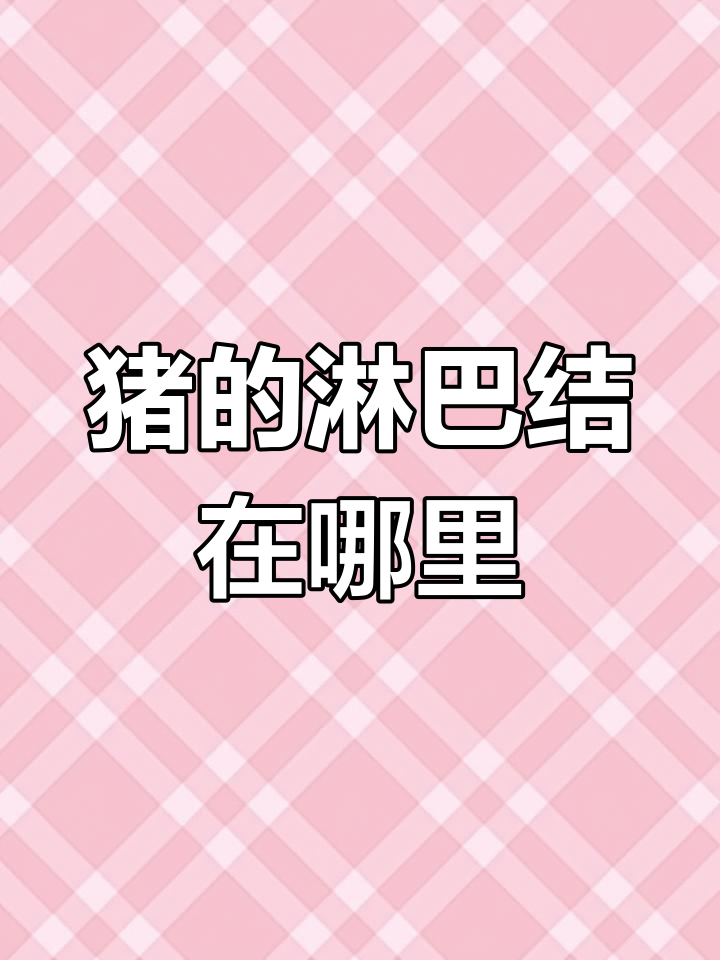 猪身上这些小淋巴,分割时必须清理干净