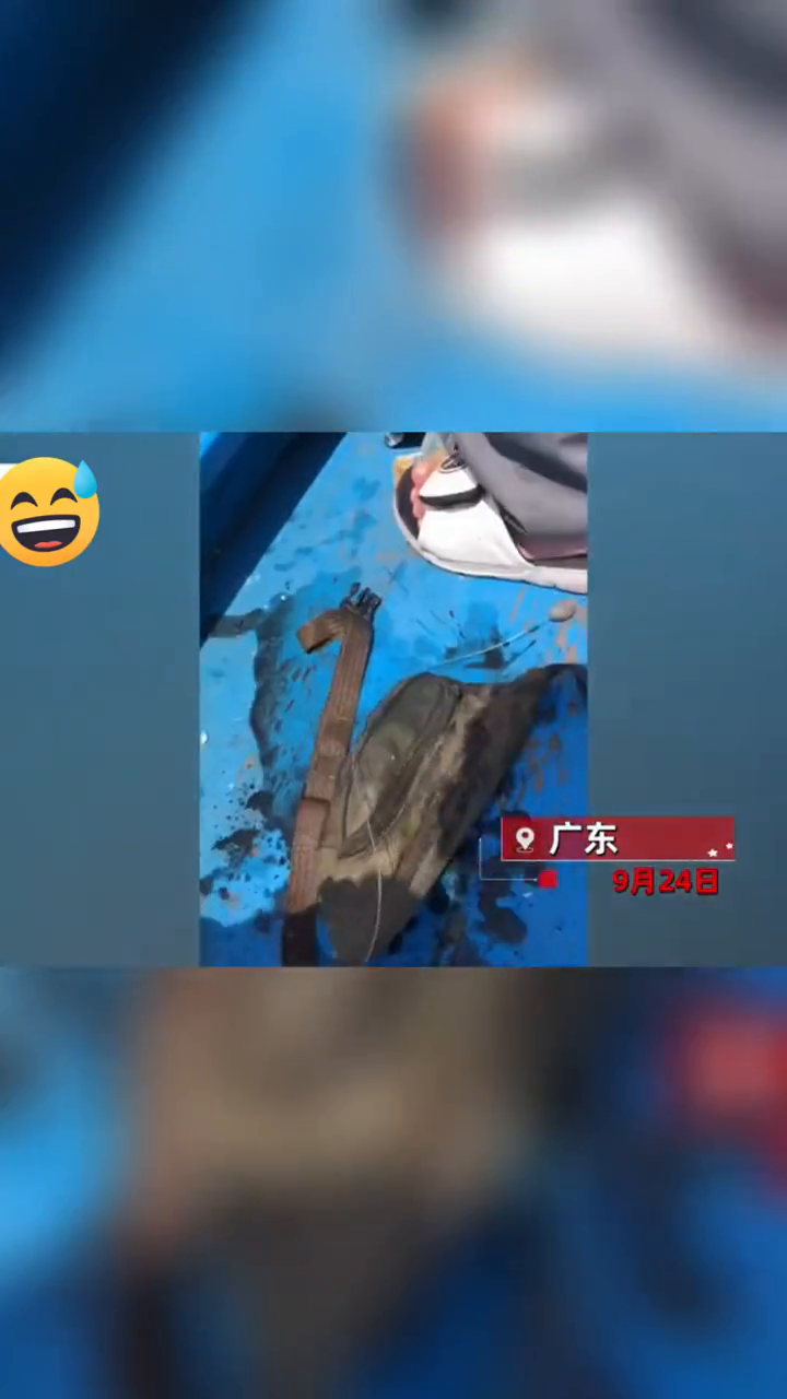钓鱼佬鱼没钓到，钓上来手机和钱包！