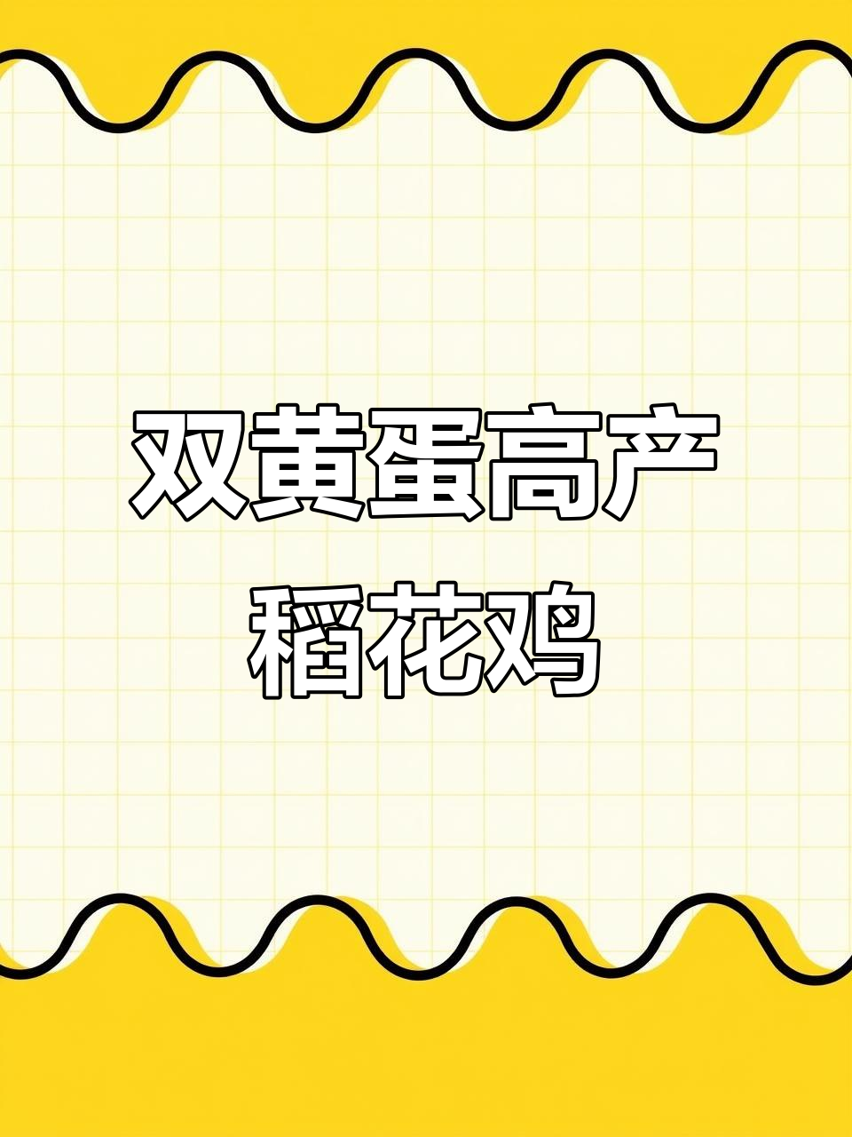 稻花鸡:纯粮食喂养,年产三百多枚双黄蛋