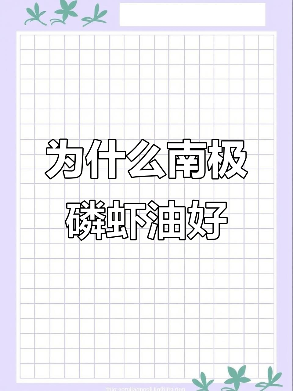 南极磷虾油为何如此受欢迎?揭秘其独特功效与吸收率