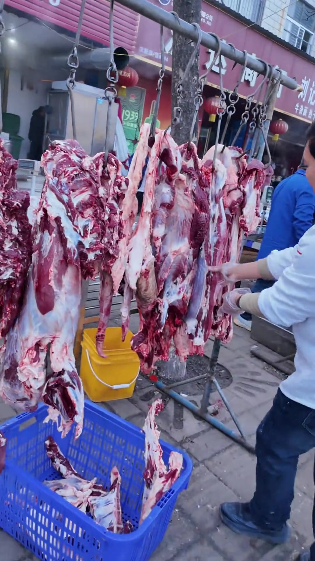 牛肉分部位，吃法有讲究，南阳本地黄牛肉！