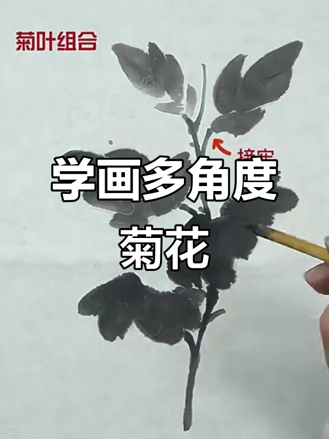 菊叶组合技巧大揭秘:从不同角度轻松画出栩栩如生的菊花