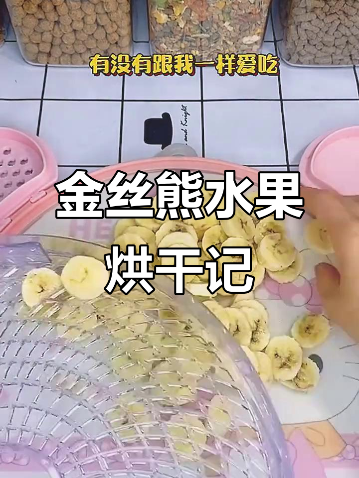 金丝熊的水果烘干日常,黄瓜、香蕉和胡萝卜变干货