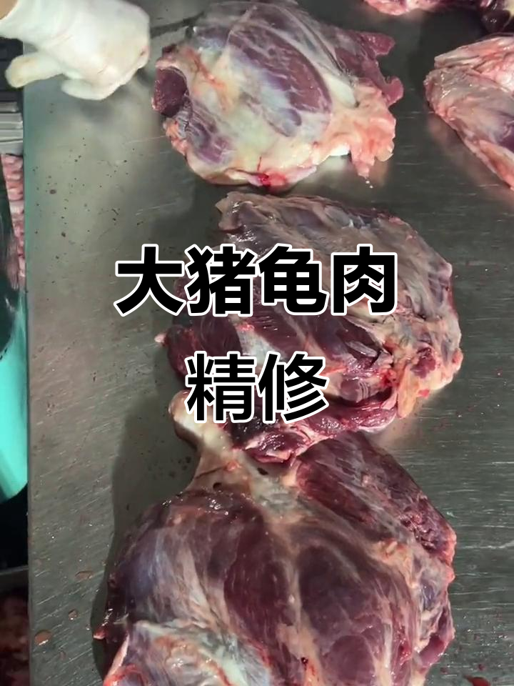 临沂恒宇食品:大猪龟肉精修,25公斤块头超足