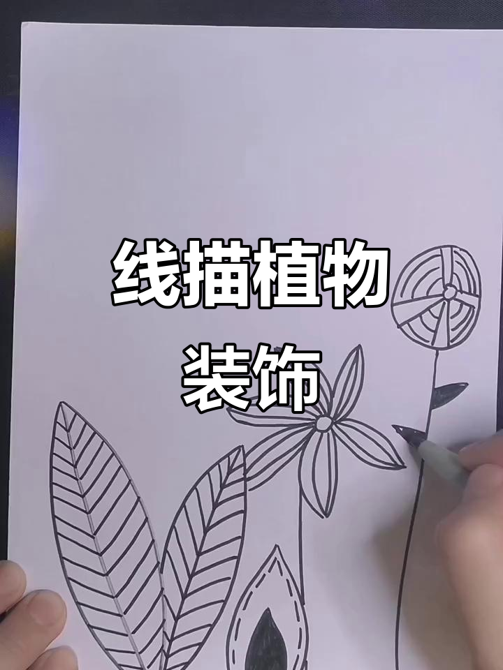 创意植物线描画,简单又有趣