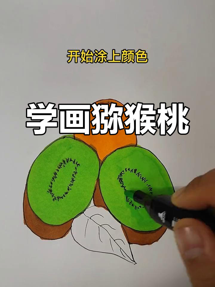 猕猴桃简笔画,轻松学会画可爱小动物