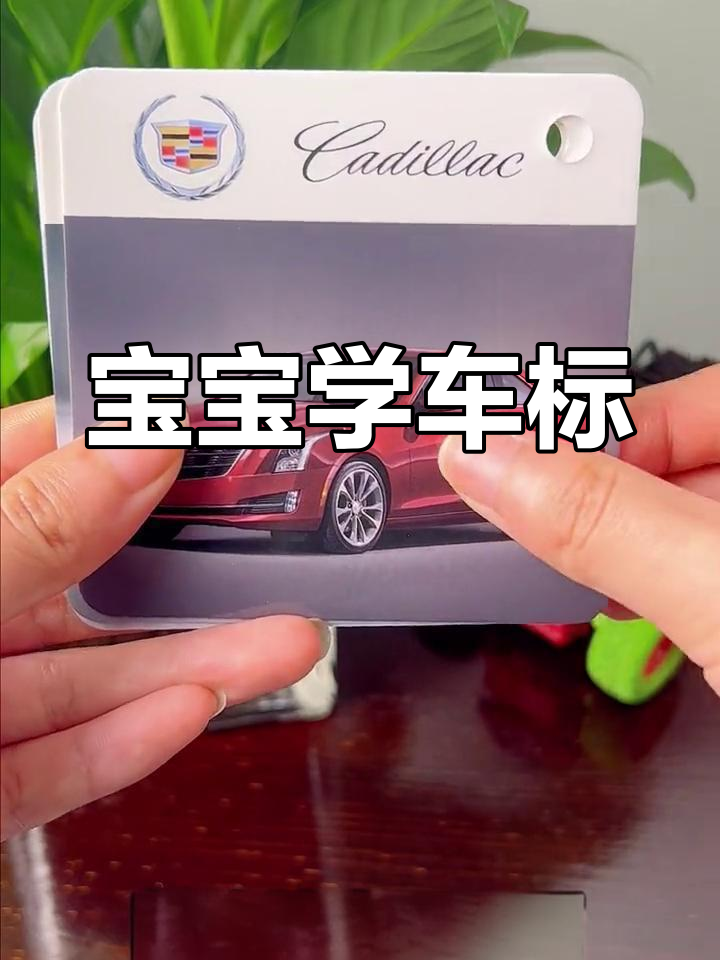 儿童认知汽车标志,轻松记住各种品牌
