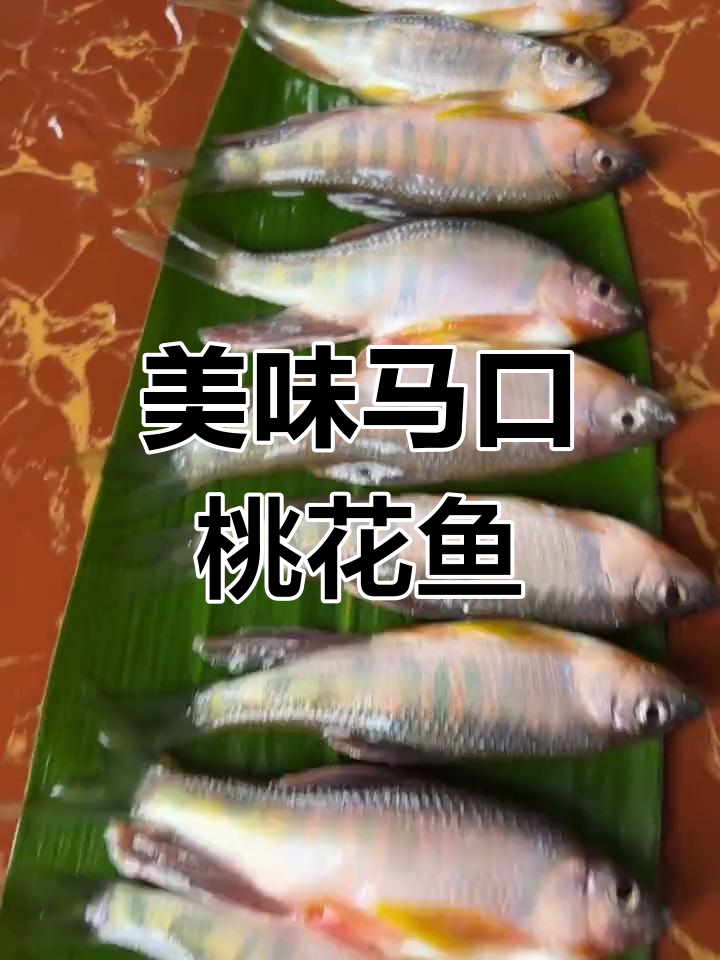 马口桃花鱼干,原汁原味的美味享受