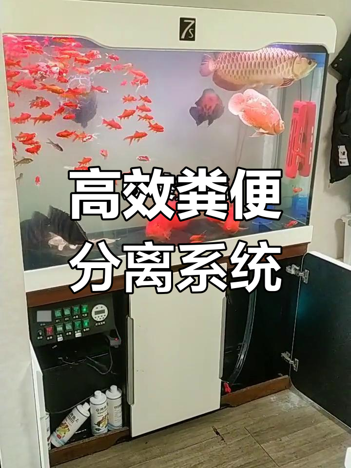 7S鱼缸改造完成,效果显著