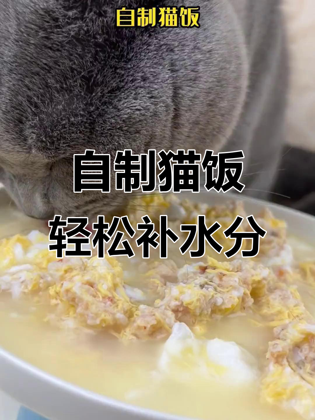 猫咪补水新方法,鸡胸肉、大虾和鸡蛋一锅炖