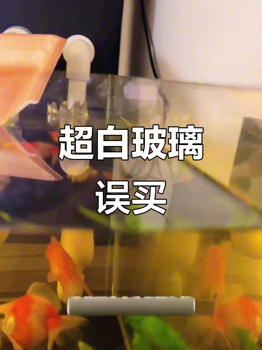鱼缸玻璃反了?超白和绿色差异大,立马换掉!