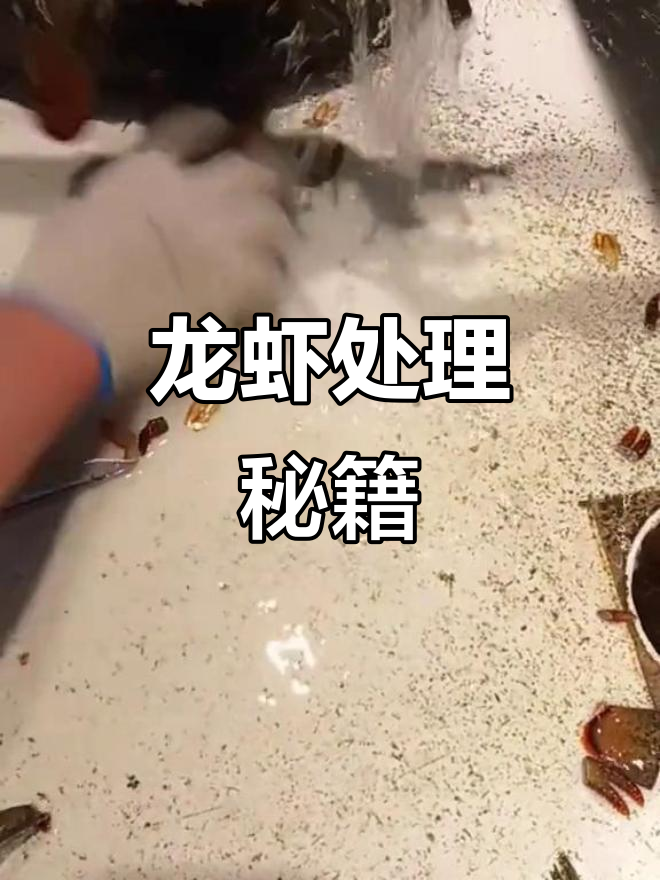 波士顿龙虾处理全解析,轻松学会!