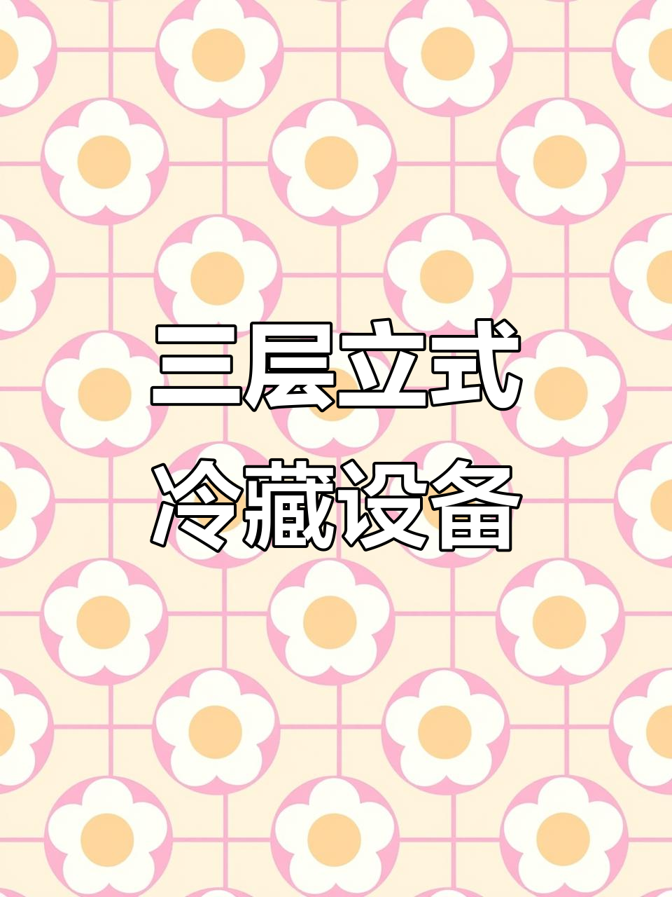 全新升级点菜柜,三层设计大容量冷冻保鲜功能