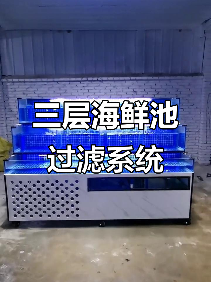 2米3层海鲜池,底部过滤系统强大,温度控制精准