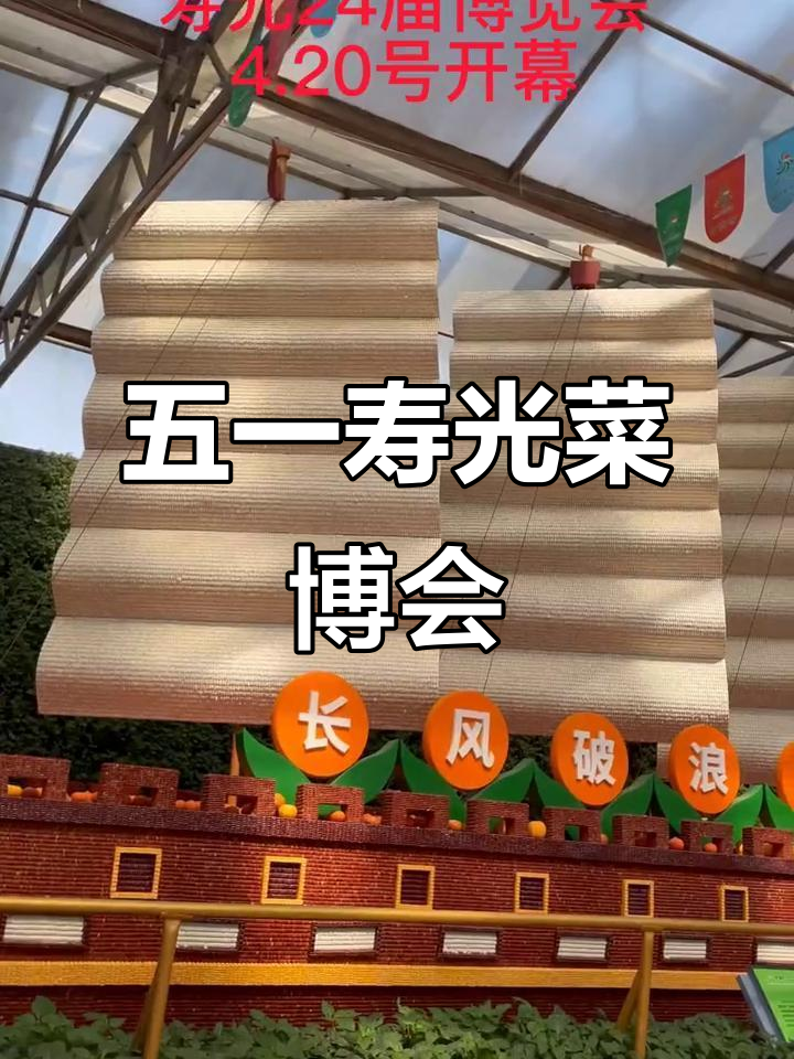 寿光蔬菜博览会五一盛大开幕,科技与美食的完美结合