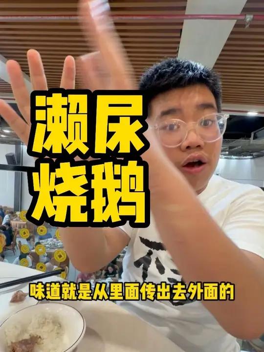 久未露脸,甚是想念 烧鹅、叉烧、掌翼都不错~ #这家真的很好吃 #人间观察计划 #烧鹅 #
