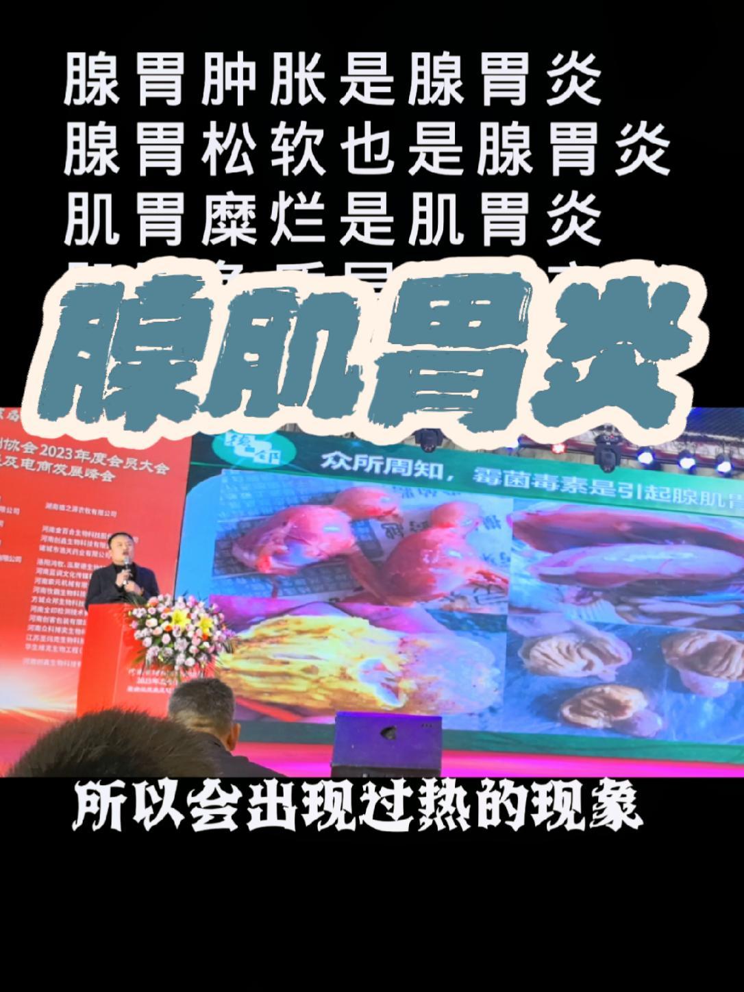 腺胃肿是腺胃炎,腺胃松软也是腺胃炎!肌胃糜烂是肌胃炎,肌胃颜色变浅也是肌胃炎!养鸡就是养肠