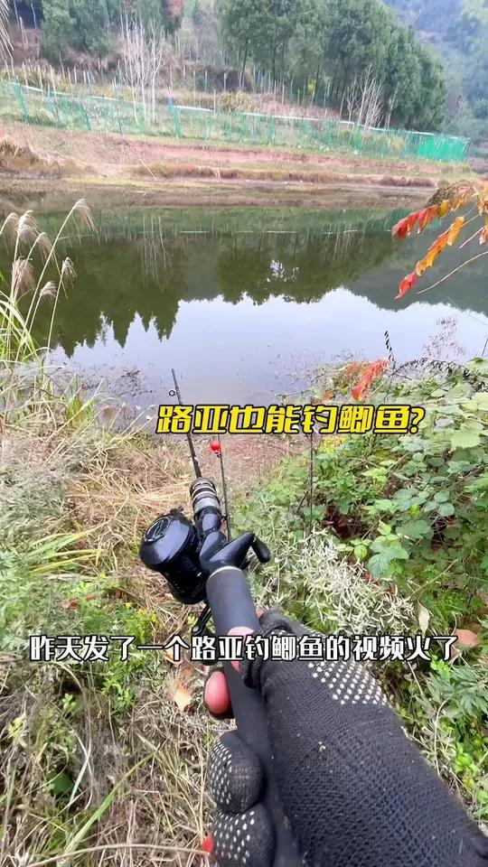 路亚逗钓鲫鱼的球球线组教程来啦!