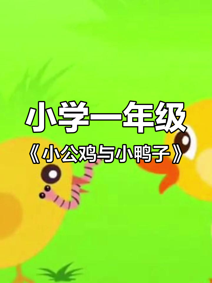 小公鸡和小鸭子的趣味故事,一年级必学课文