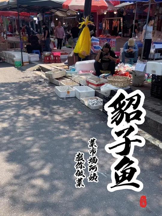 同学们,这个鱼你们那边叫什么名字?你们都是怎么做的好吃?五一请到我的城市吃 请用家乡话说出