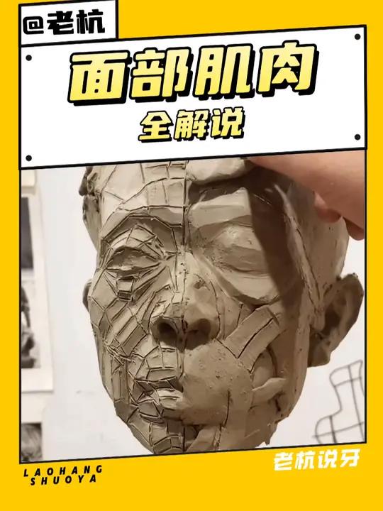 牙医给你讲讲,面部肌肉都有啥?