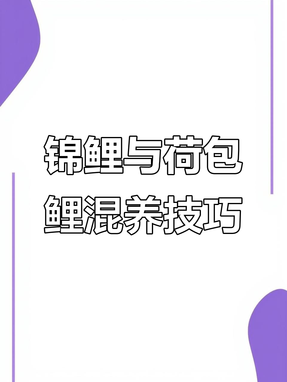 荷包鲤、锦鲤和草金混养,喂食要注意什么?