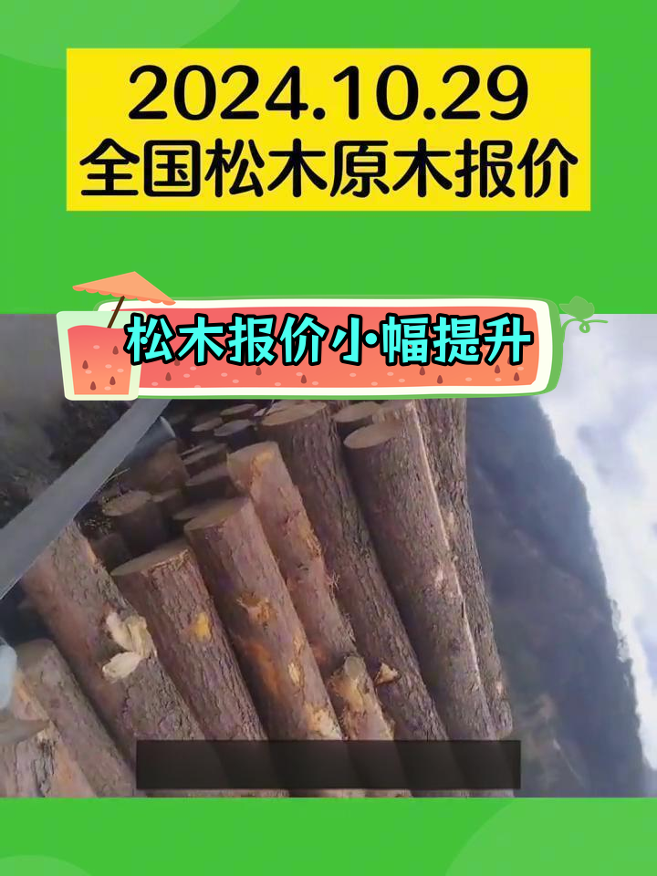 松木原木价格稳步上涨,需求回升
