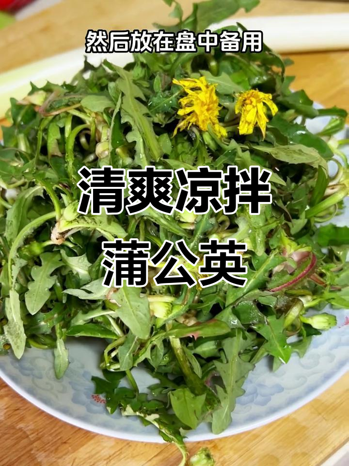 春季凉拌蒲公英,简单又美味,清热解毒美容养颜