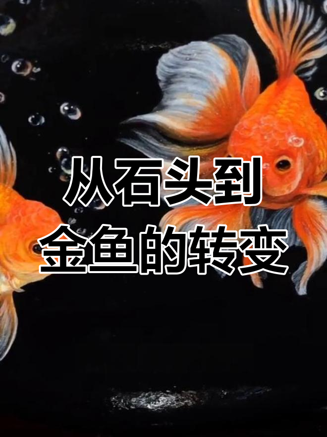 石头画金鱼,竟然能这么幸福!