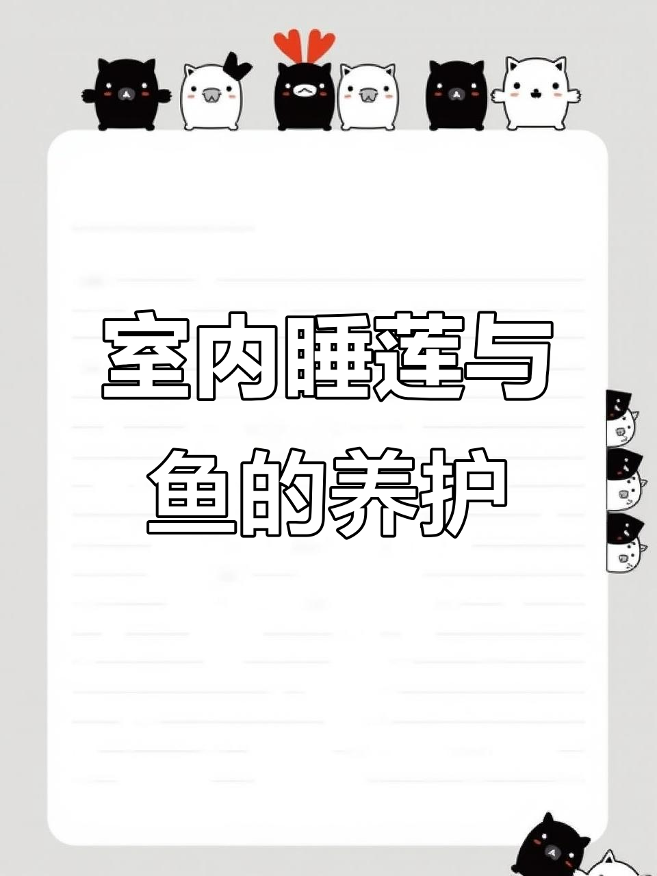 室内种睡莲养鱼全攻略,轻松打造荷塘美景