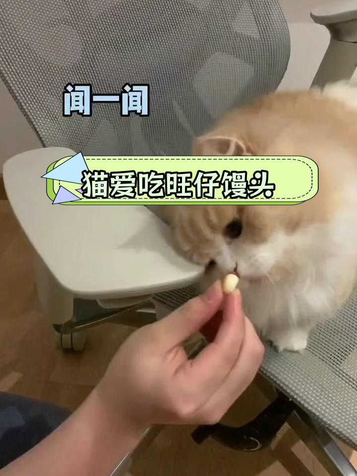 猫咪竟然敢吃旺仔小馒头