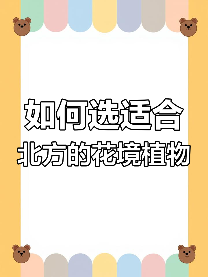 北方自然花境打造指南,这些植物最适合!