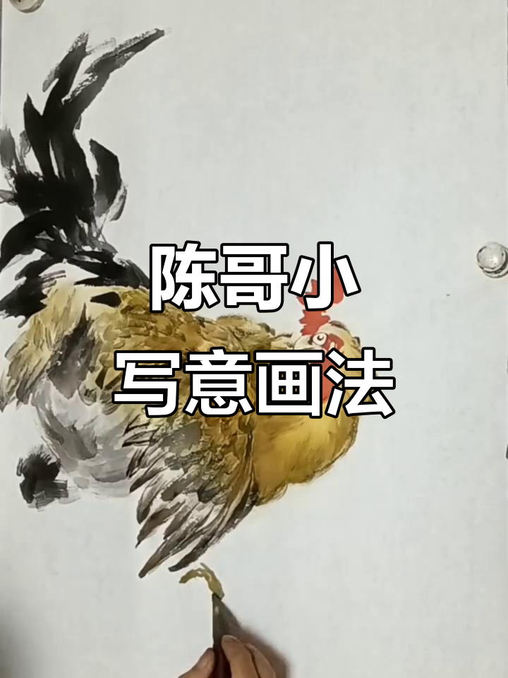 写意花鸟画:陈哥教你如何用墨色勾勒出栩栩如生的鸡背肌