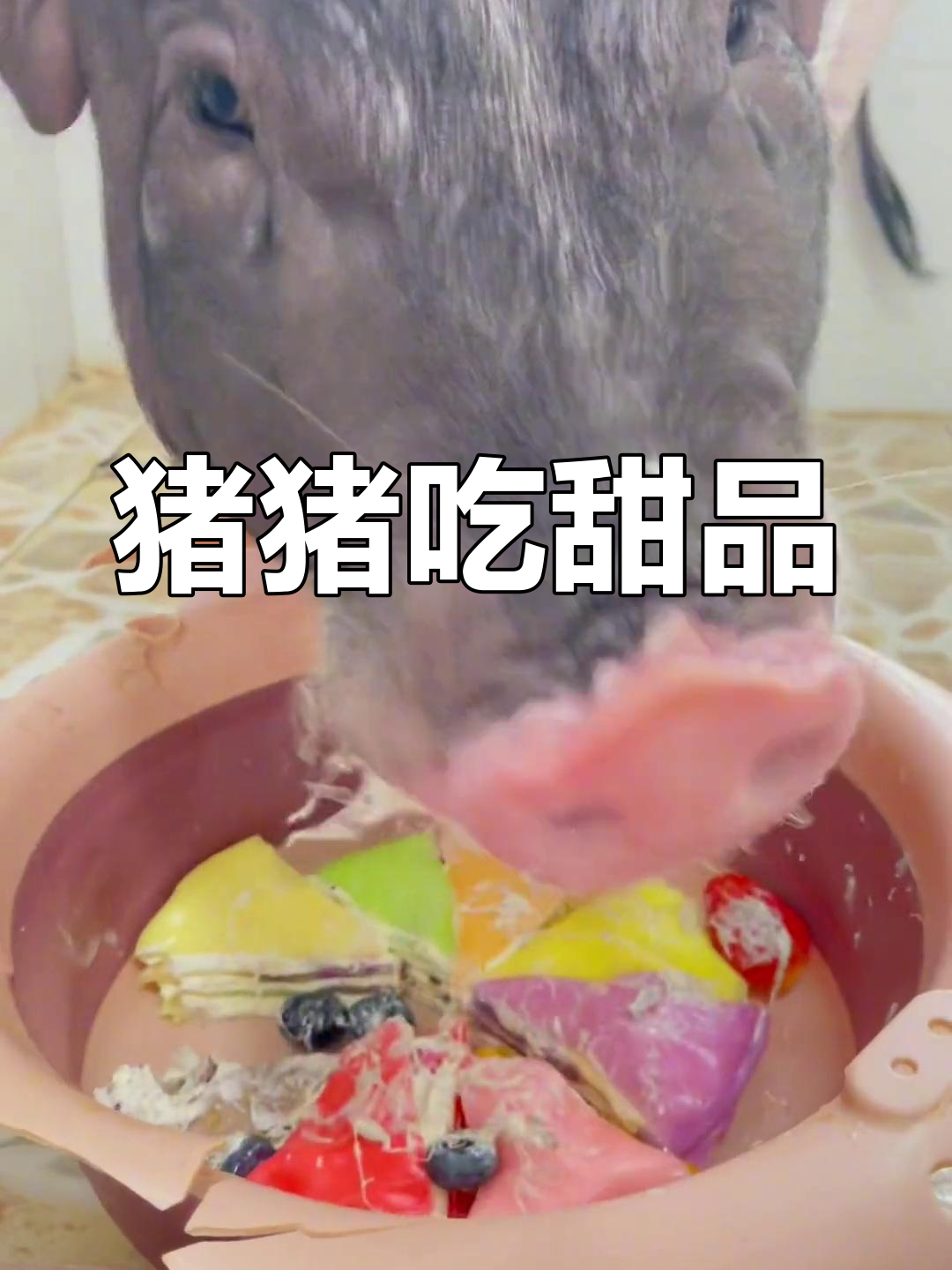 猪猪的下午茶时光:草莓蓝莓千层蛋糕