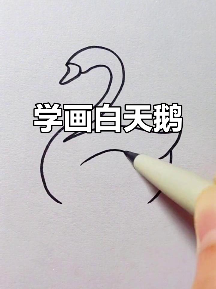 轻松画出可爱白天鹅,简单又好玩!