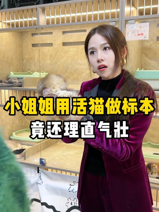 竟然有人拿活猫做标本?!
