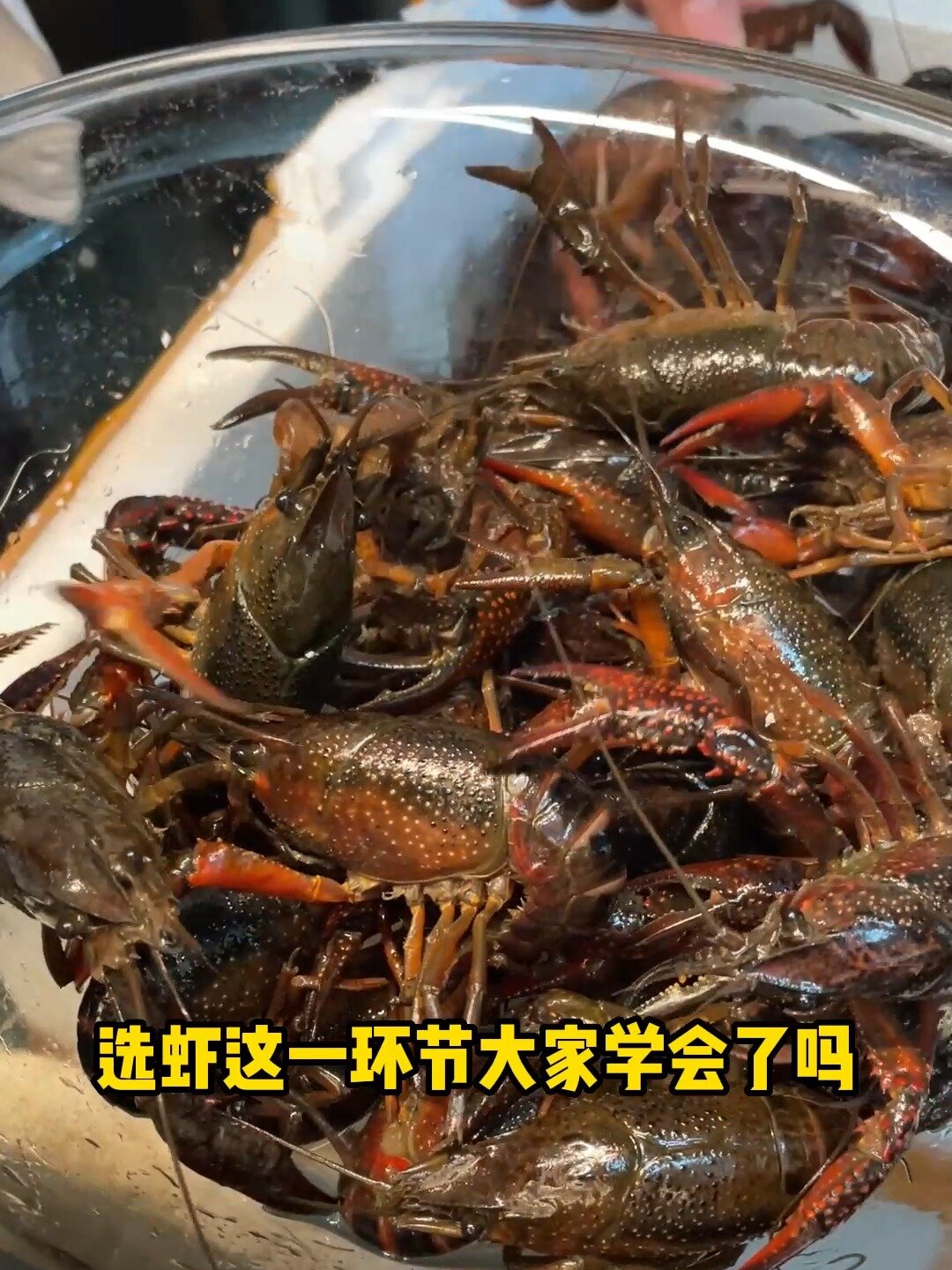 青虾和红虾有哪些区别,你知道吗?