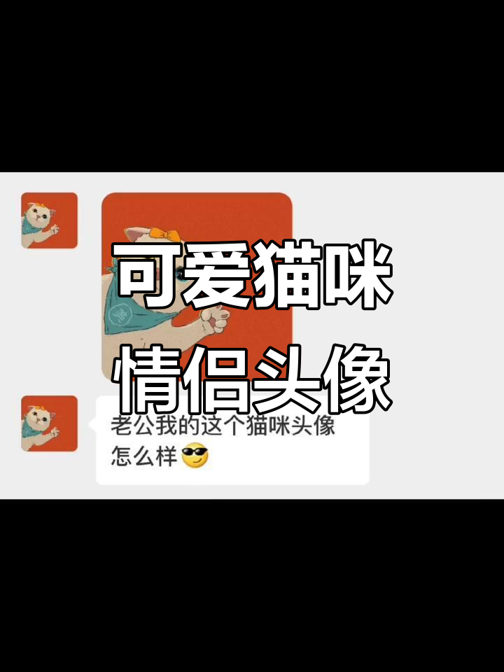 黑猫白猫情侣头像,超萌猫咪合集!