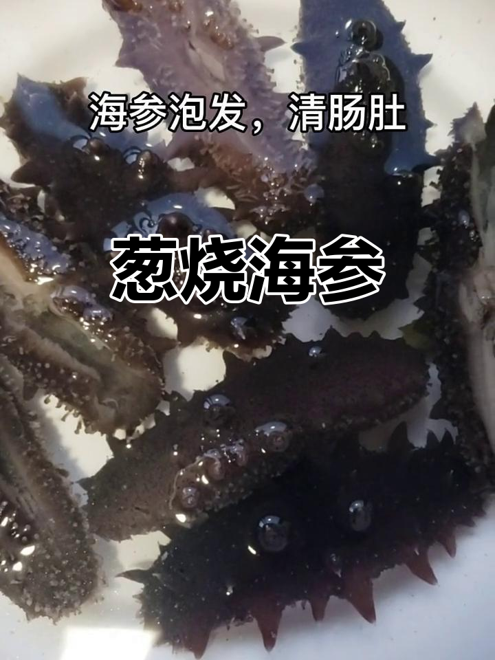 鲁菜经典葱烧海参,香气扑鼻让人怀念