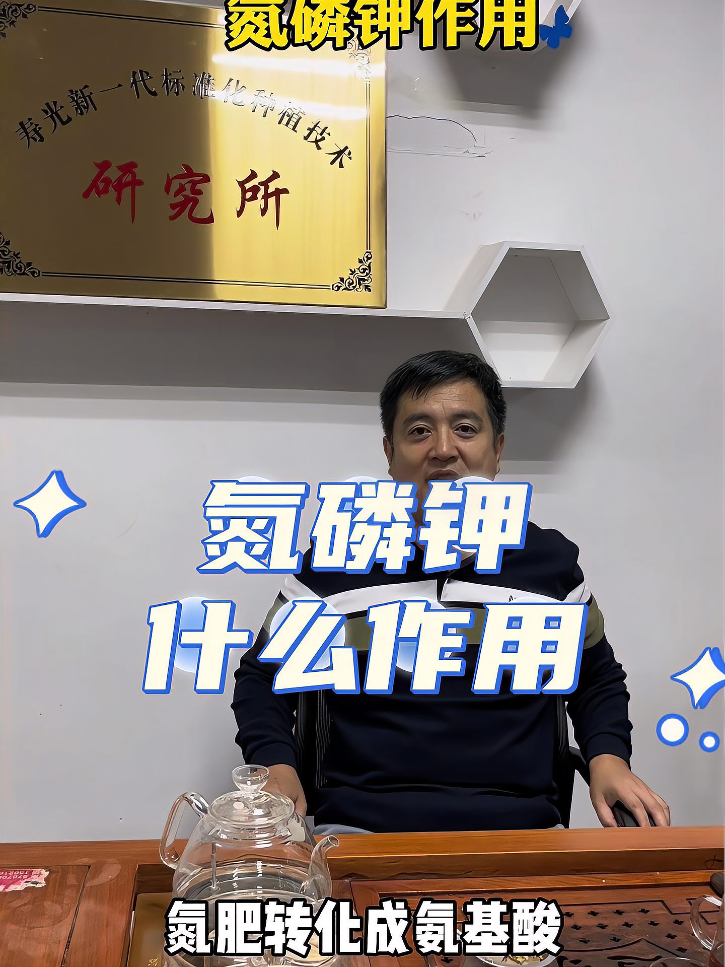 氮磷钾都有什么作用?蔬菜种植技术 农业技术推广 心系三农服务三农 病虫害防治 抖音新农人