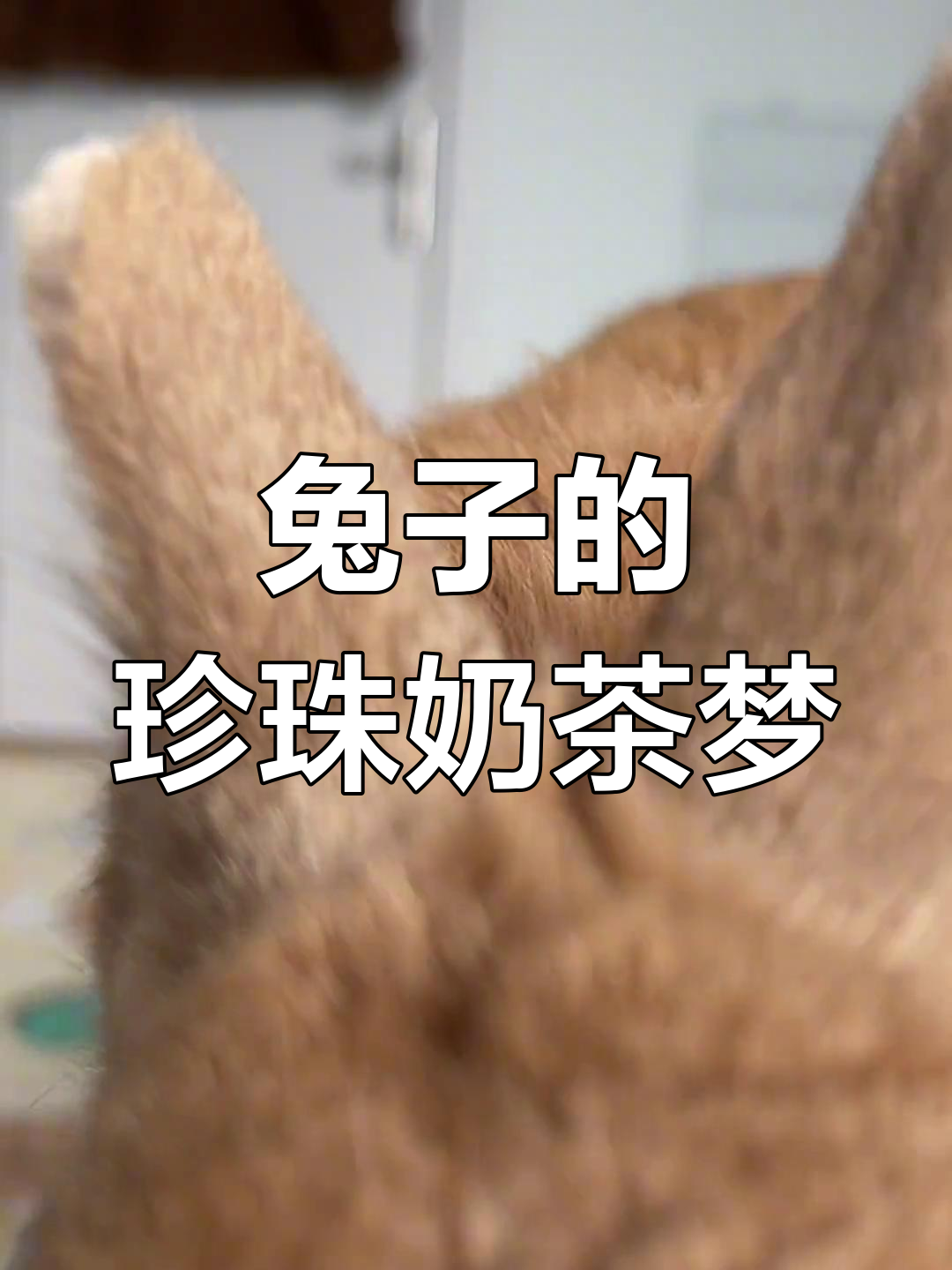 小兔子撒娇卖萌,想喝珍珠奶茶,太可爱了!