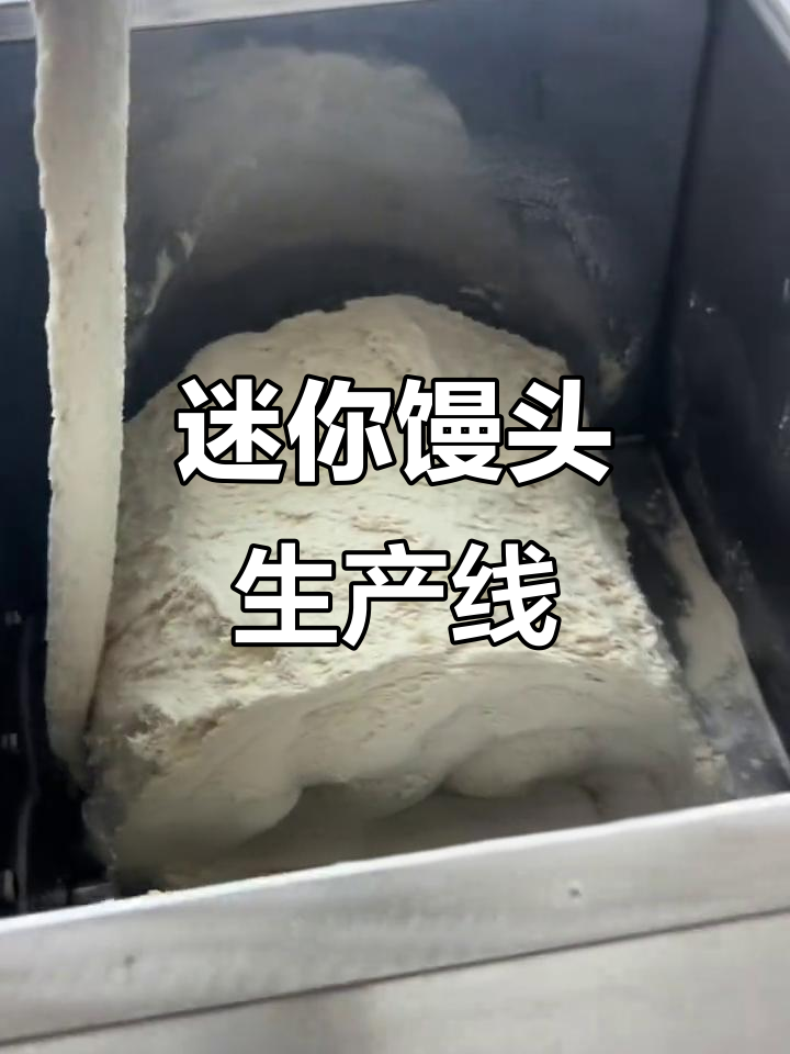 小型馒头机，轻松操作，自动蒸制百克馒头