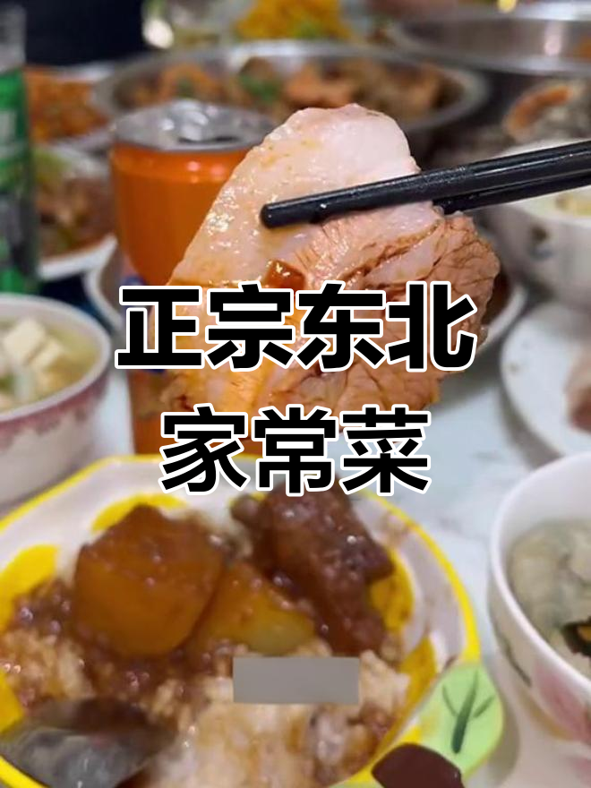 东北家常炖菜大集合,土豆排骨、糖醋鸡丁全都有