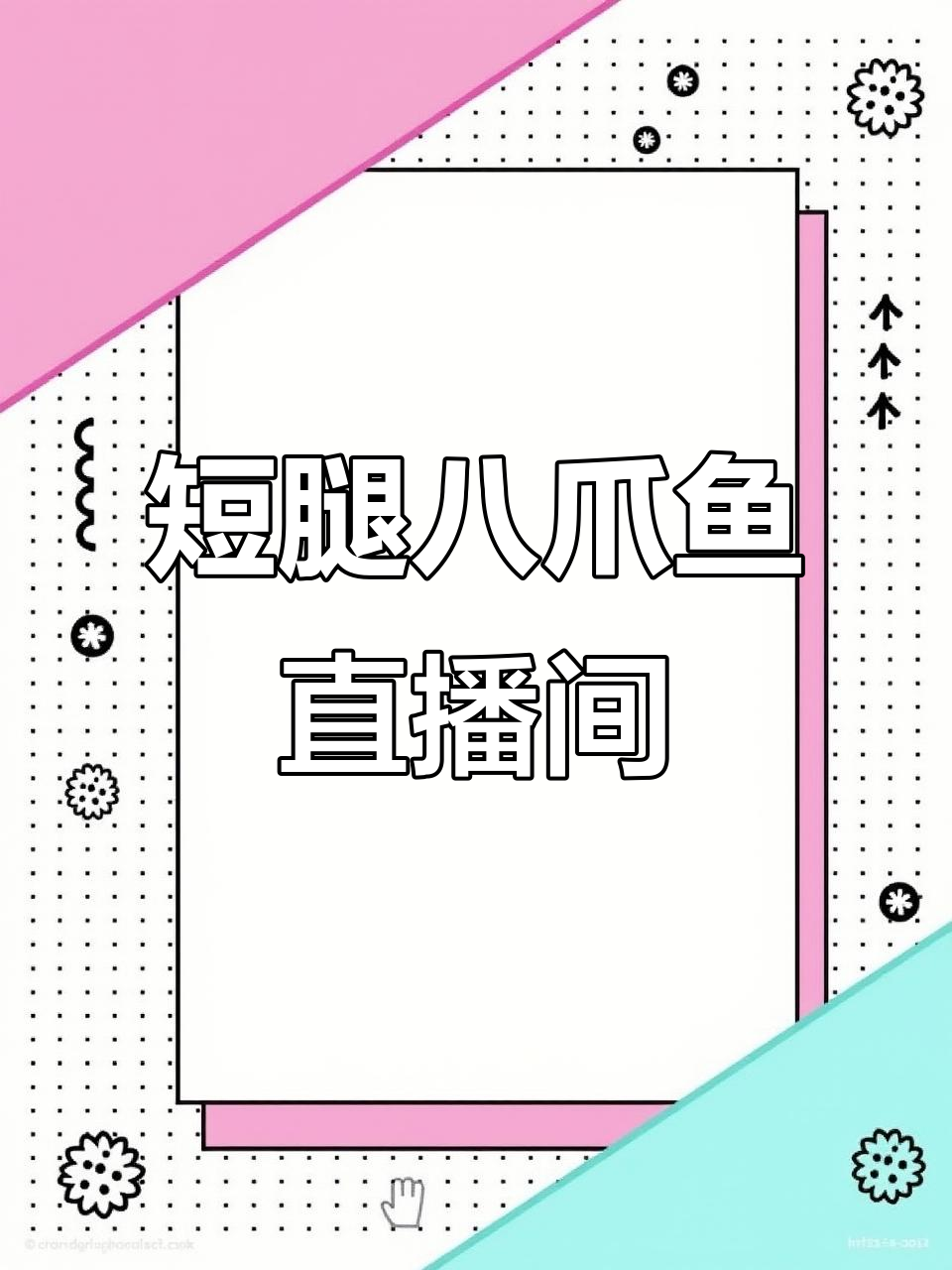 短腿八爪鱼直播大揭秘，海鲜美味不容错过