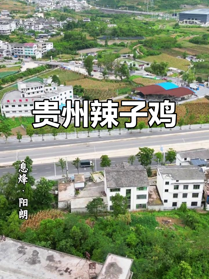 贵州辣子鸡,息烽阳朗风味大揭秘