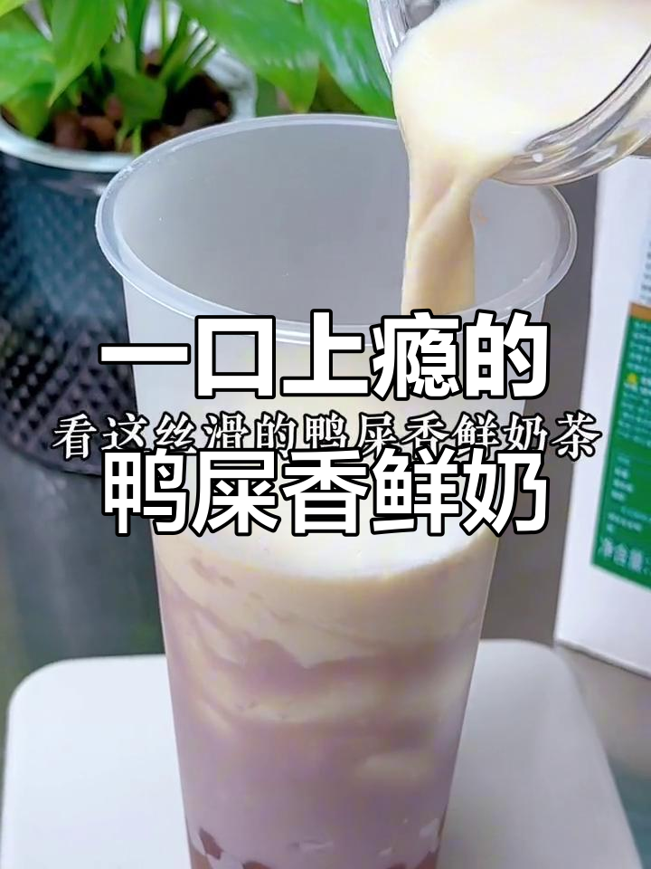 妈妈喝过一口,我就决定辞职开店!鸭屎香奶茶太丝滑了