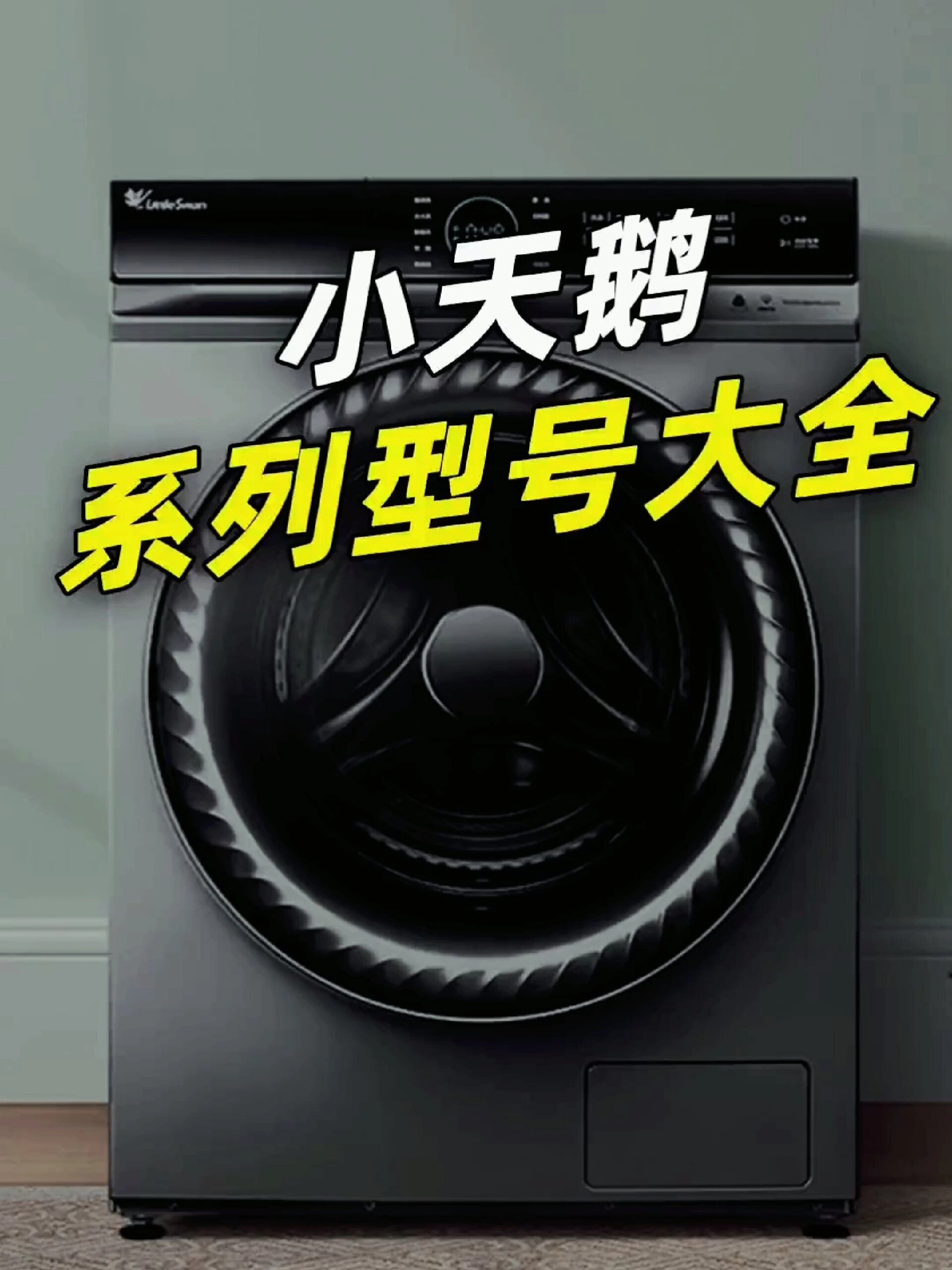 小天鹅系列型号大全